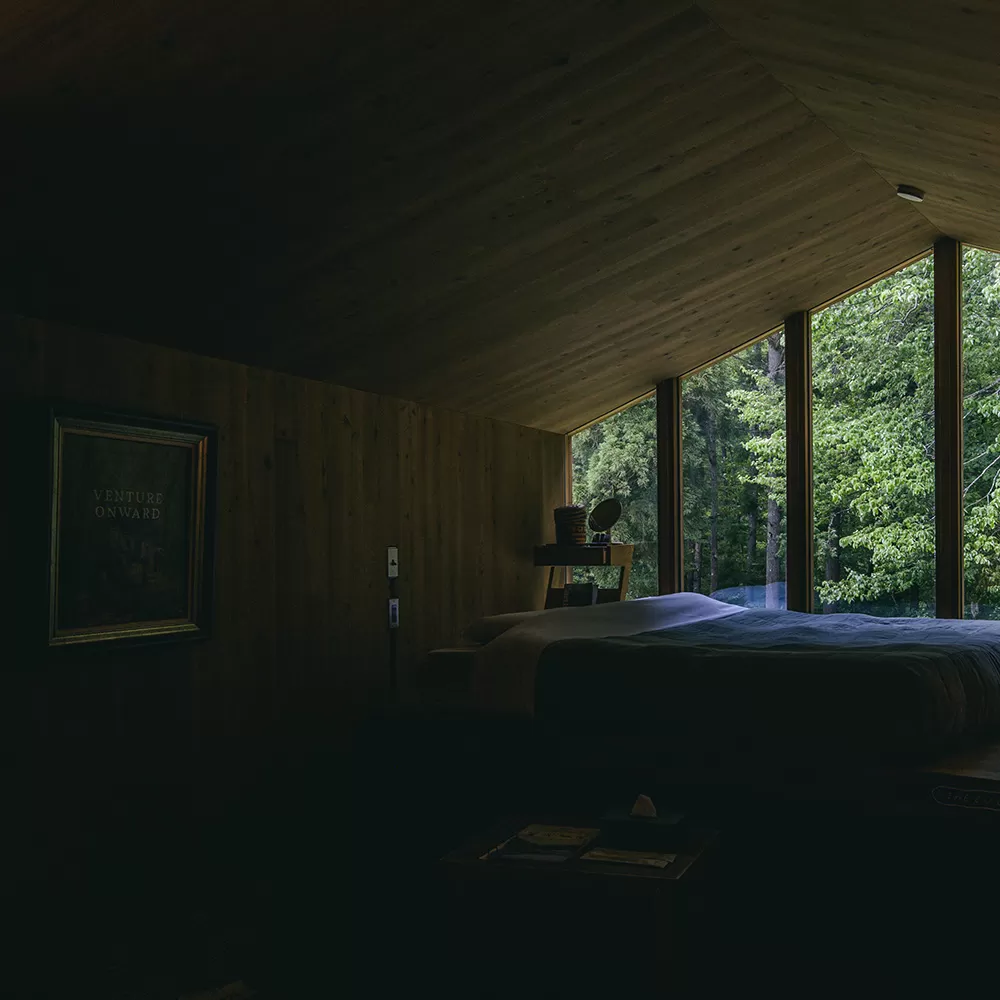 PURVEYORS on Earthboat