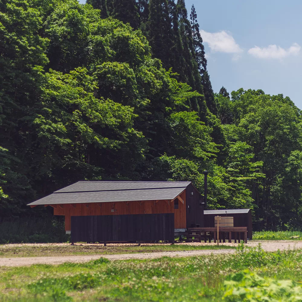 Forest Side