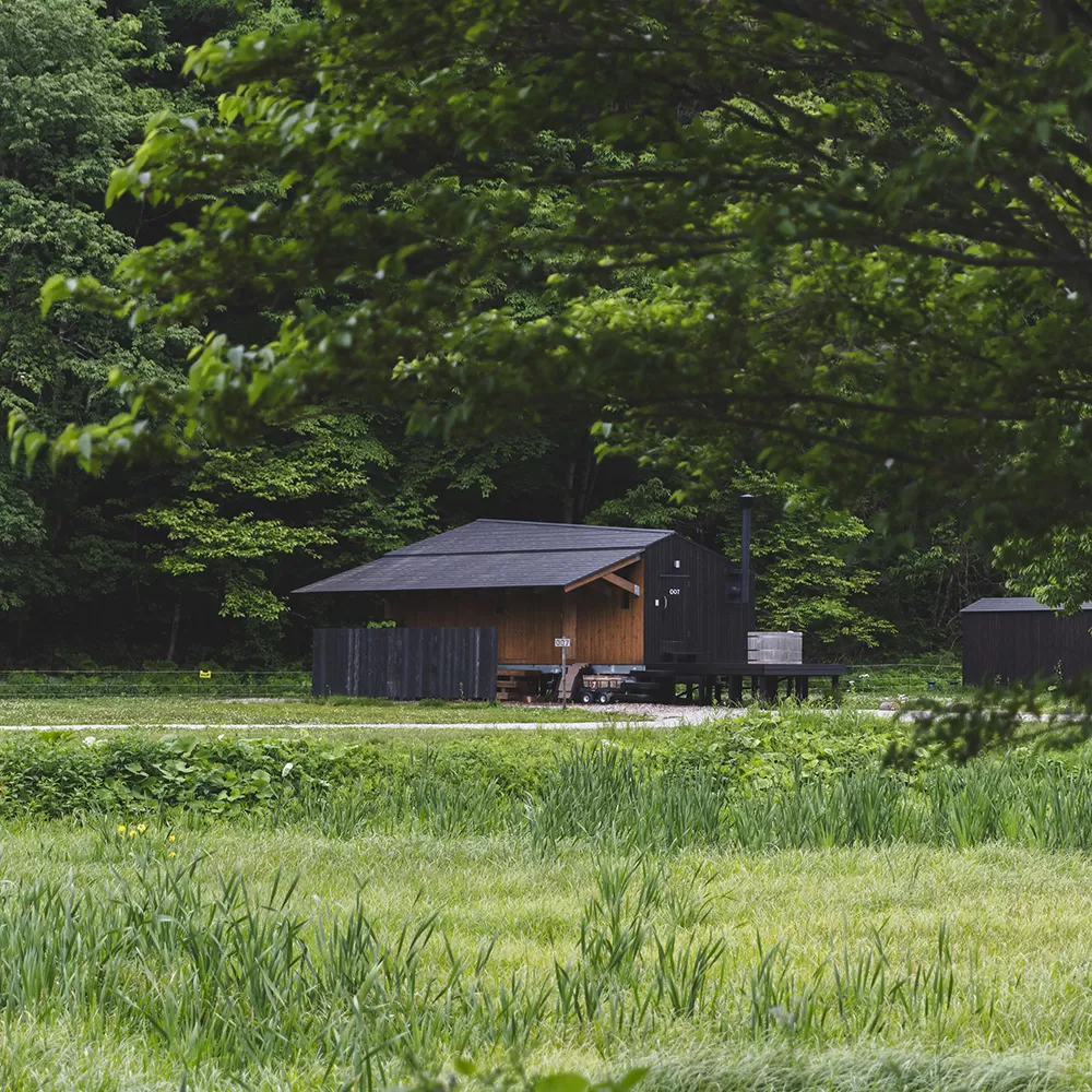 Forest Side