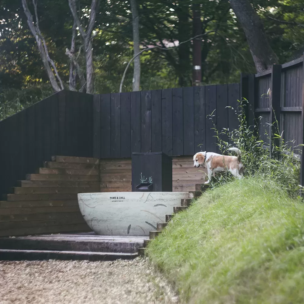 Premium Dog Yard Room