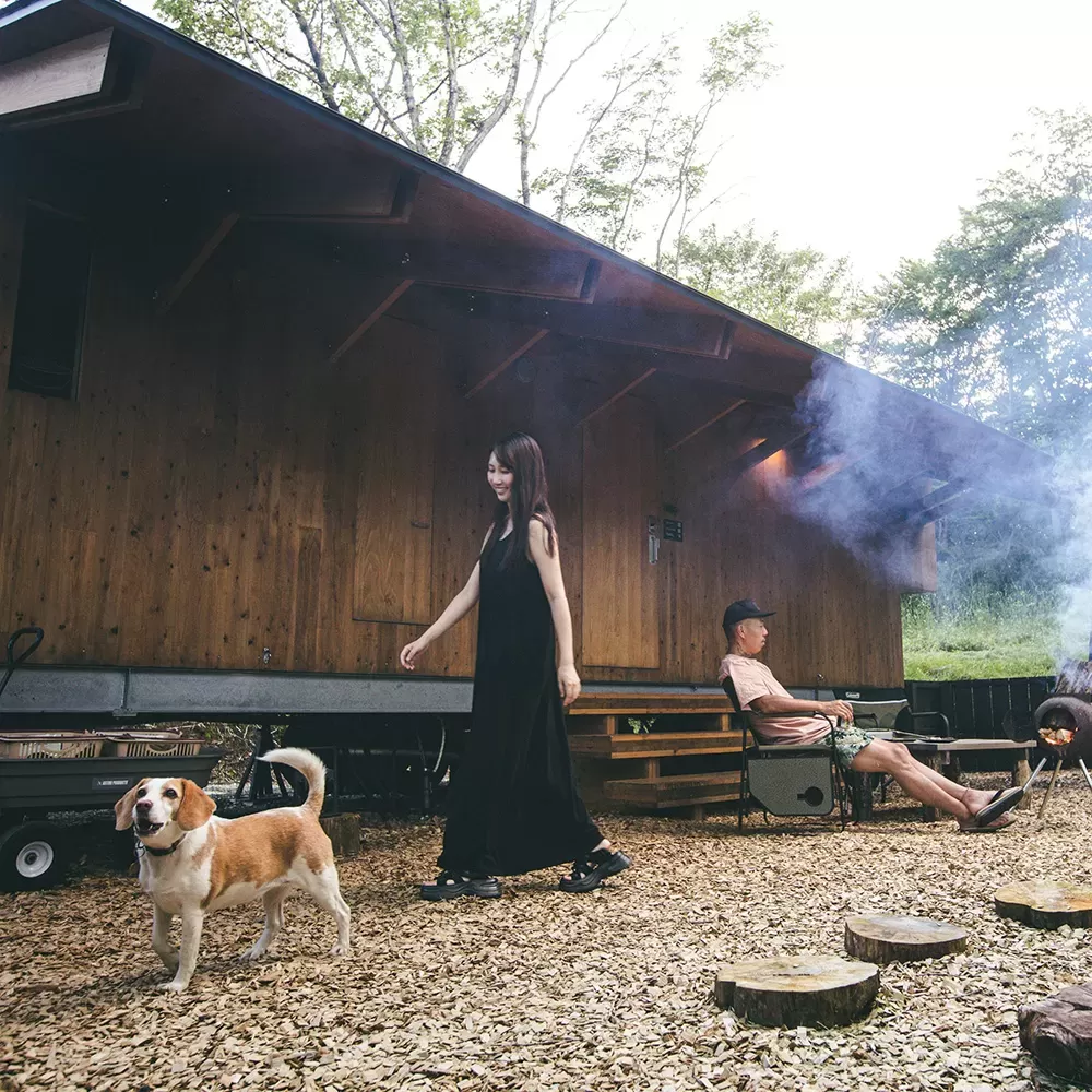 Premium Dog Yard Room