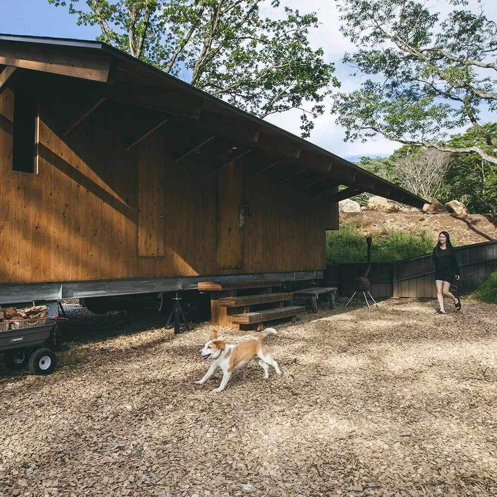 Dog Yard Room