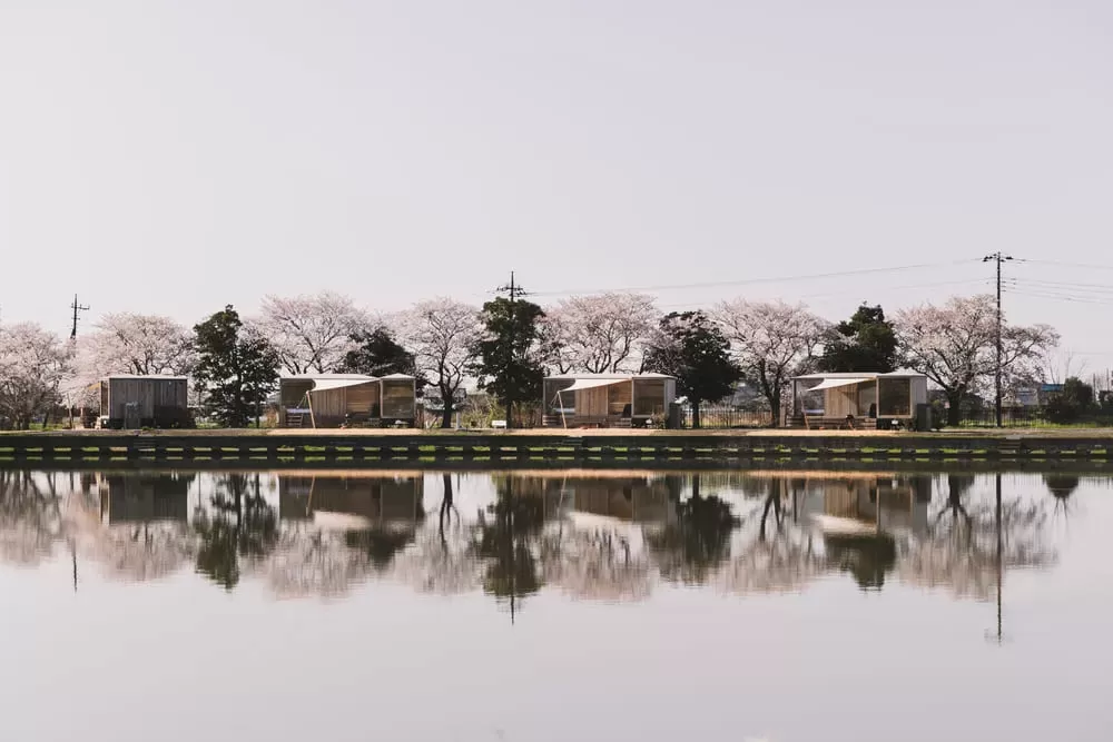 Pond Side